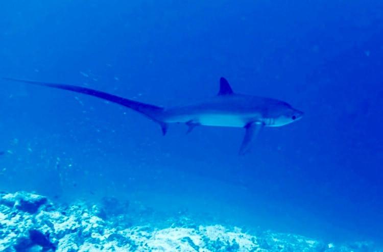 Endhaa, Divers Home Fuvahmulah Екстер'єр фото