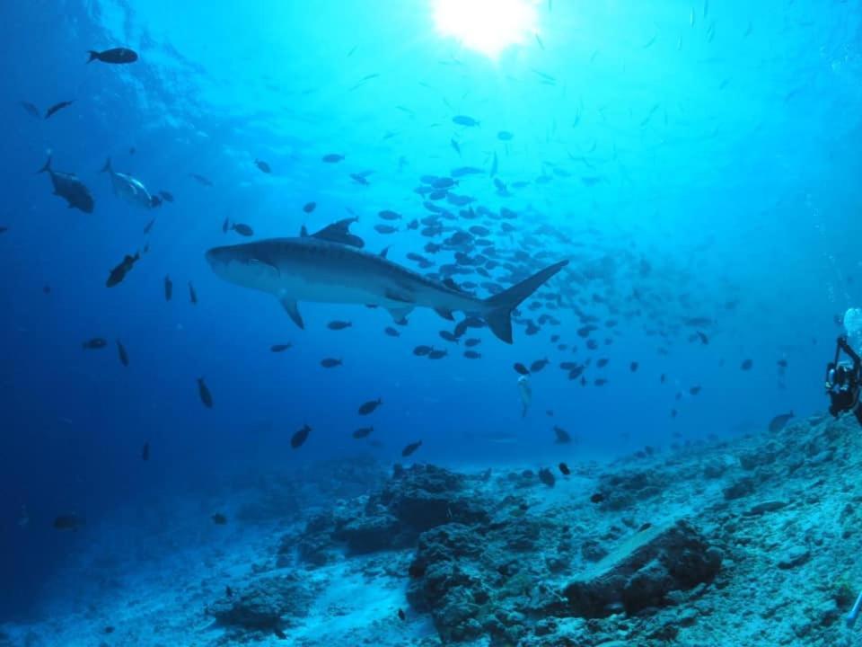 Endhaa, Divers Home Fuvahmulah Екстер'єр фото